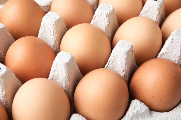 Ωμά Αυγά Κότας Χαρτοκιβώτιο Closeup Προβολή — Φωτογραφία Αρχείου
