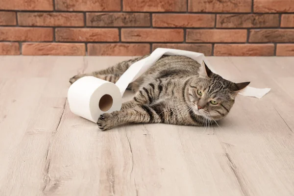 Милая Кошка Играет Рулоном Туалетной Бумаги Полу Напротив Кирпичной Стены — стоковое фото