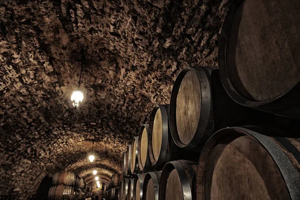 Fûts Bois Avec Whisky Dans Une Cave Sombre — Photo