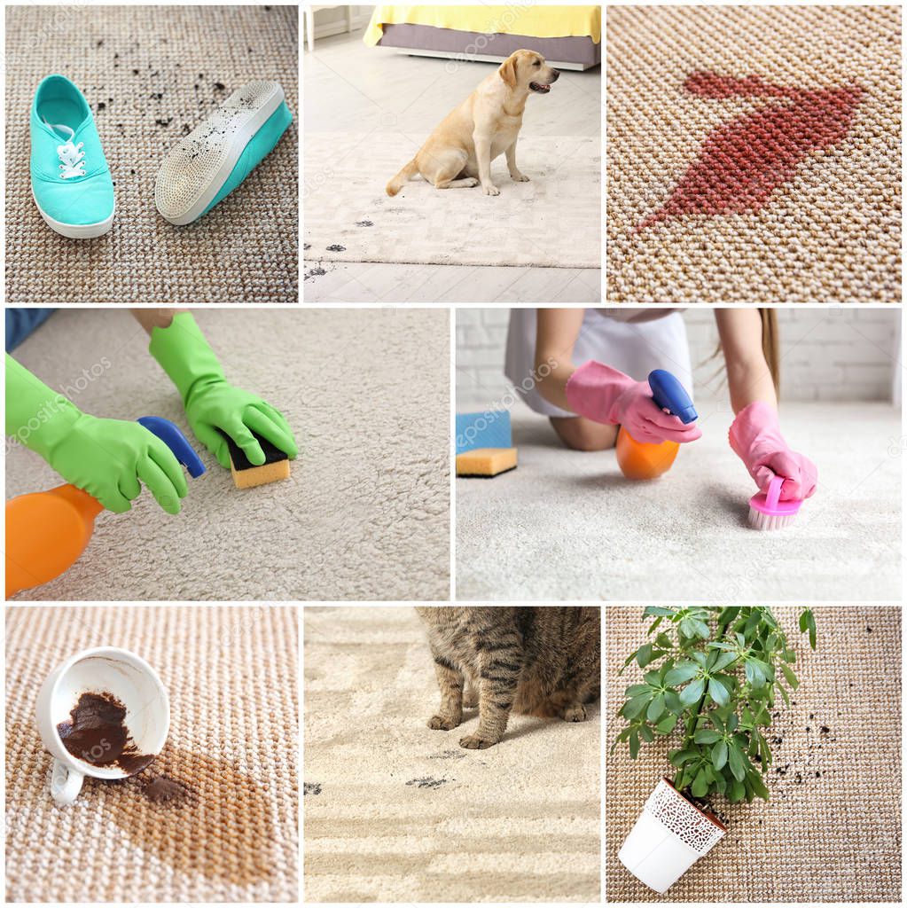 Set with different types of dirt on carpets. Cleaning concept