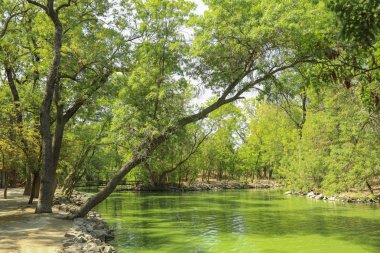 Gölet güneşli ısmarlayarak