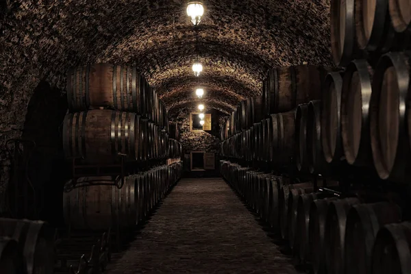 Fûts Bois Avec Whisky Dans Une Cave Sombre — Photo