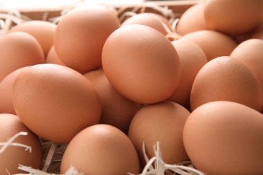 Kahverengi tavuk yumurta saman yığını