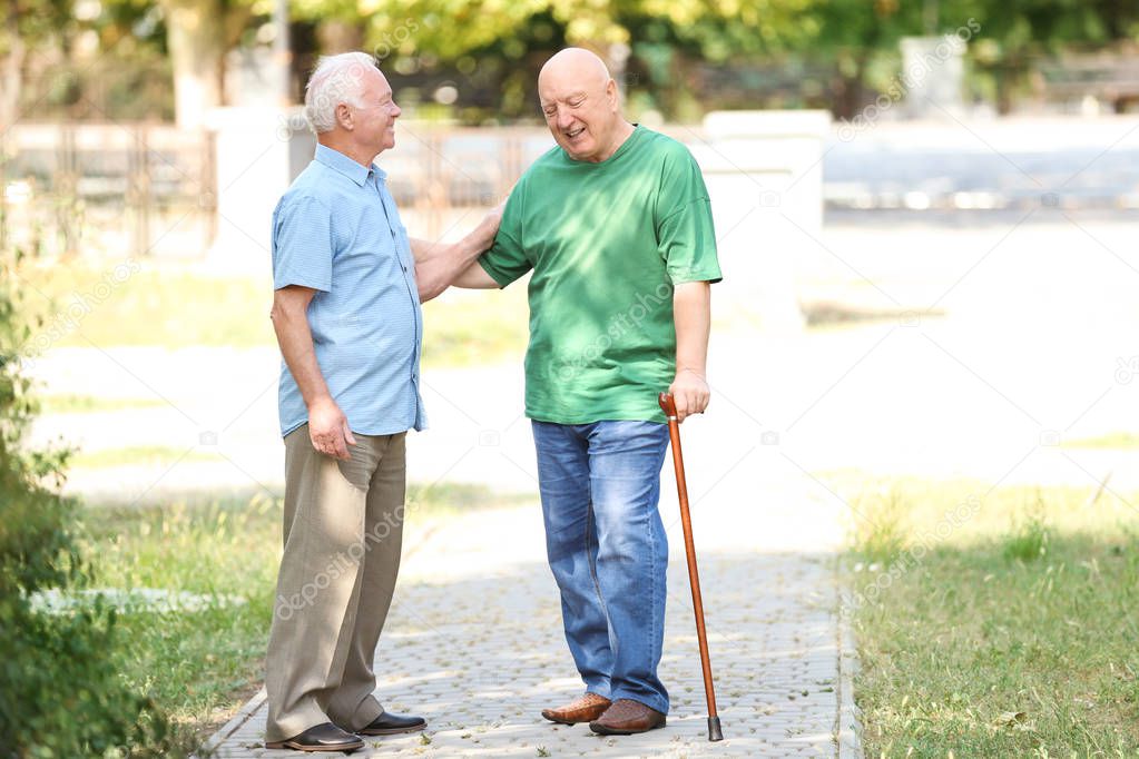 Elderly men spending time together in park