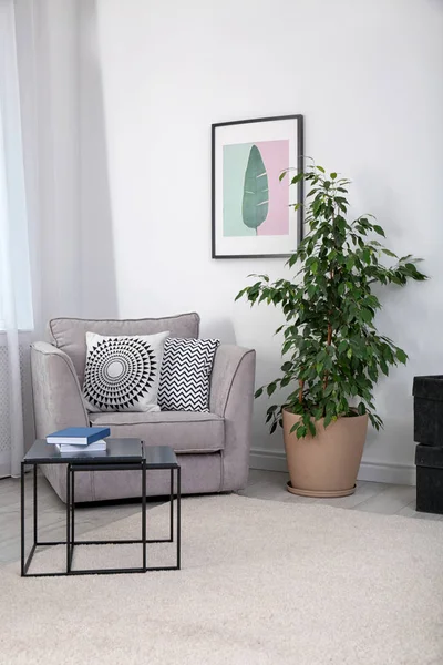 Stijlvolle Kamer Interieur Met Leunstoel Ingemaakte Ficus — Stockfoto