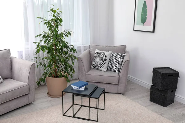 Interior Elegante Quarto Com Poltronas Potted Ficus — Fotografia de Stock