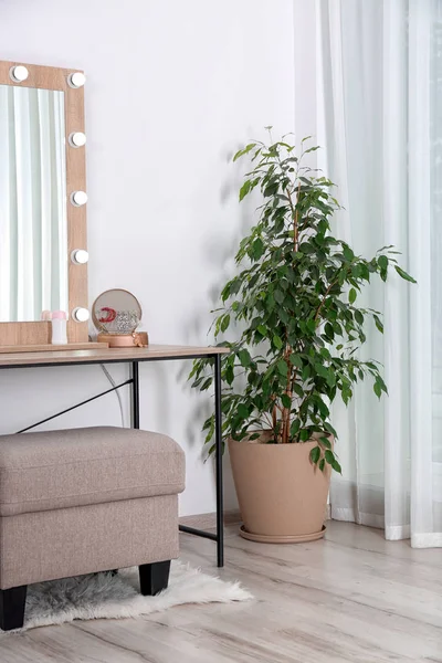 Elegante Quarto Interior Com Penteadeira Potted Ficus — Fotografia de Stock