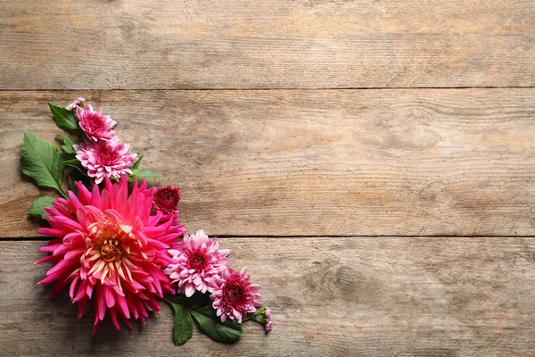 Gyönyörű Dahlia Virág Háttér Szöveg Adható Lakás Laikus Összetétele — Stock Fotó