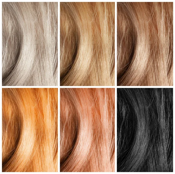 Set Color Hair Samples Beauty Professional Treatment — Stock Photo, Image