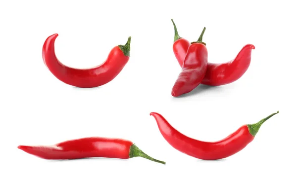 Fehér Háttér Piros Chili Paprika Beállítása — Stock Fotó