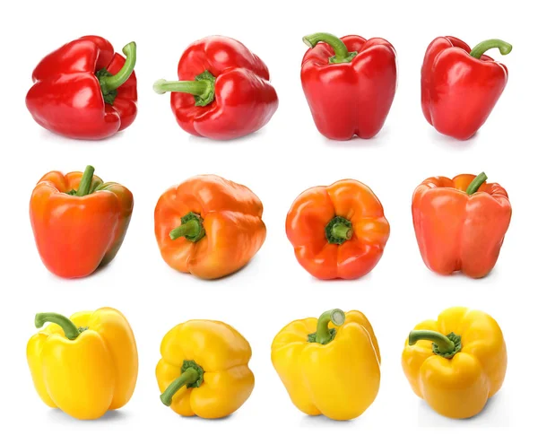 Set Van Verschillende Paprika Witte Achtergrond — Stockfoto