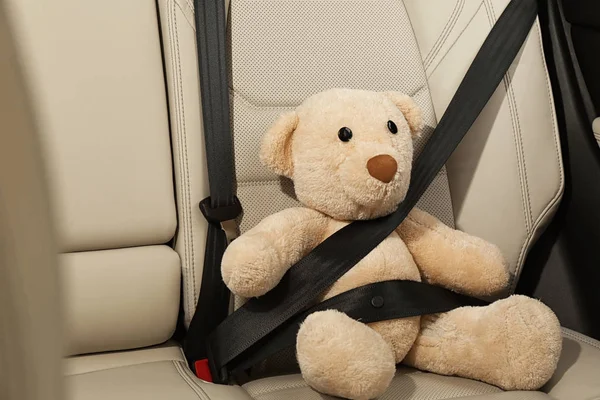 Lindo Peluche Oso Abrochado Asiento Trasero Del Coche — Foto de Stock