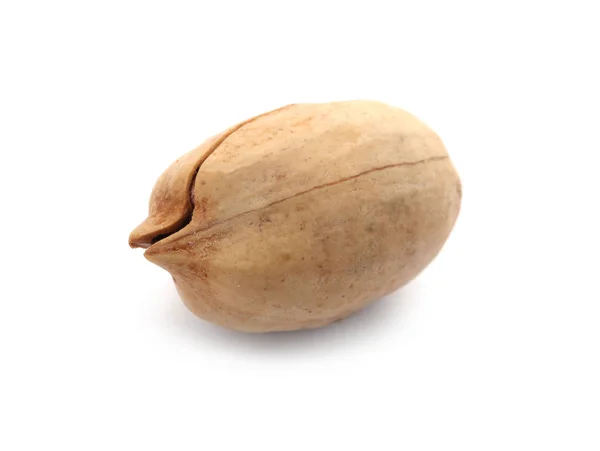 Pecan Nut Muszla Białym Tle Odżywcze Żywności — Zdjęcie stockowe