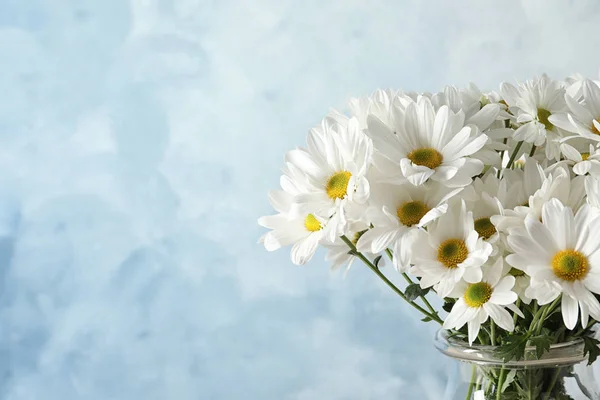 色の背景上の美しいカモミールの花の花瓶 テキストのためのスペース — ストック写真