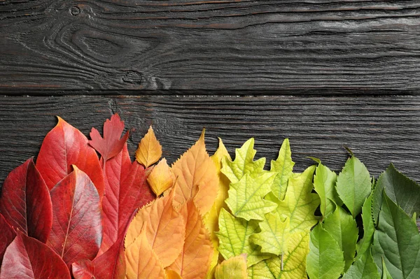 Composición Plana Con Hojas Coloridas Otoño Espacio Para Texto Sobre — Foto de Stock