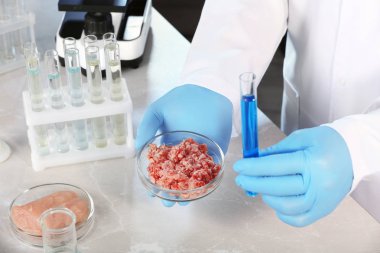 Tüp ve Petri kapları forcemeat ile laboratuvar tablo üzerinde tutan bilim adamı