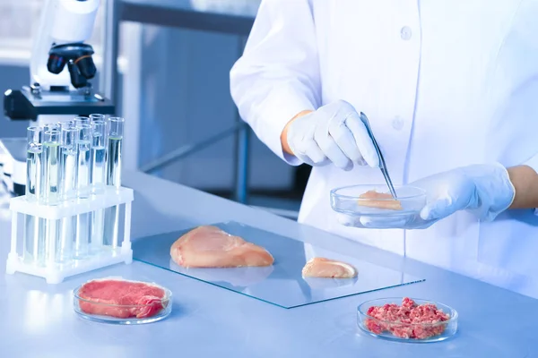 Wissenschaftler Hält Petrischale Mit Fleischprobe Labor Über Tisch — Stockfoto