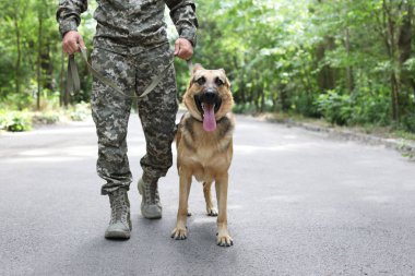 Alman çoban köpeği, açık havada ile askeri üniformalı erkeklere
