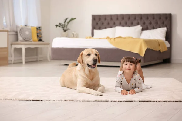 Adorable Labrador Jaune Récupérateur Petite Fille Maison — Photo