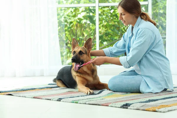 Femme Nettoyant Les Dents Chien Avec Une Brosse Dents Intérieur — Photo