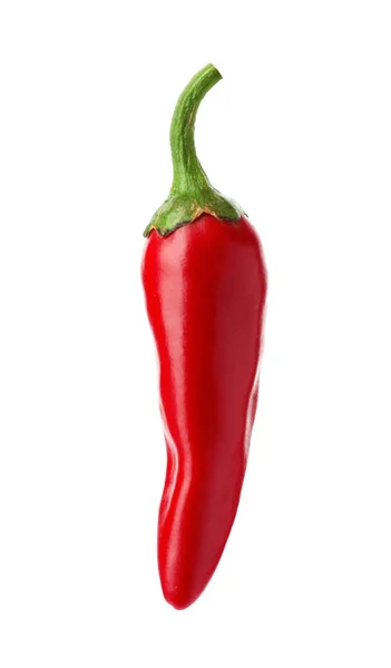 Pimienta Picante Roja Sobre Fondo Blanco — Foto de Stock