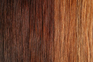 Arka plan olarak farklı renk saç telleri, yakın plan