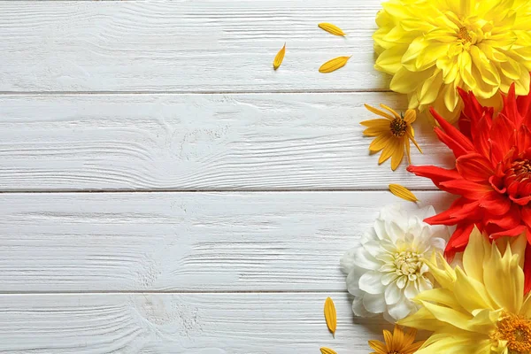 Gyönyörű Dahlia Virág Háttér Szöveg Adható Lakás Laikus Összetétele — Stock Fotó
