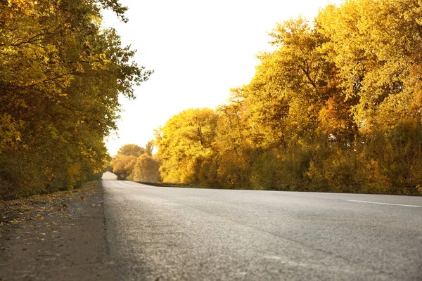 Belle Vue Sur Route Asphaltée Près Forêt Automne — Photo