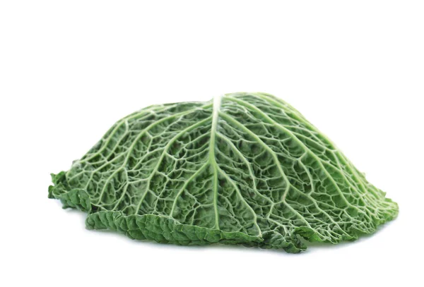 白色背景的萨霍米卷心菜的绿叶 — 图库照片
