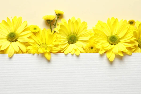 Hermosas Flores Manzanilla Tarjeta Papel Sobre Fondo Color Plano Con — Foto de Stock
