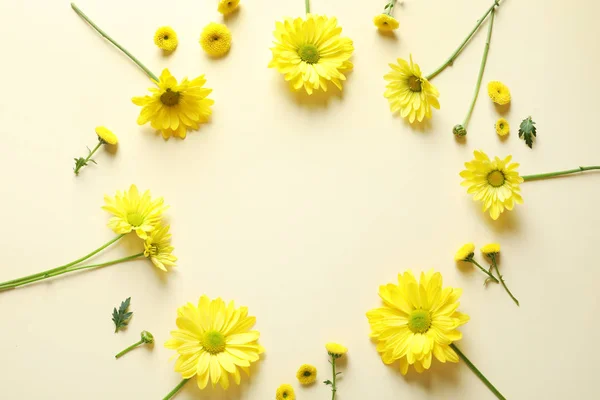 Kwiaty Rumianku Piękne Kolor Tła Płaskie Położyć Się Miejsca Tekst — Zdjęcie stockowe