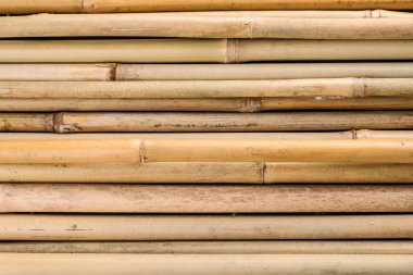 Arka plan olarak, üstten görünüm kuru bambu sopalarla