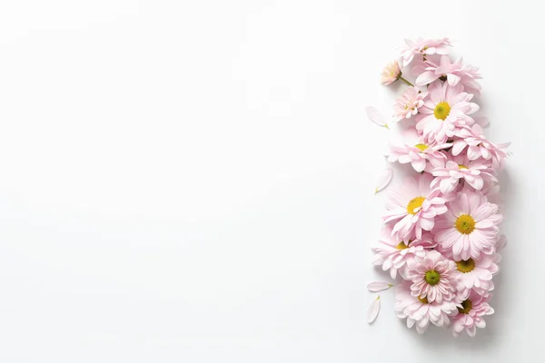 Όμορφη Χαμομήλι Άνθη Λευκό Φόντο Επίπεδη Θέσει Χώρο Για Κείμενο — Φωτογραφία Αρχείου