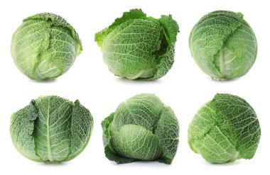Taze savoy lahana ile beyaz arka plan üzerinde ayarla