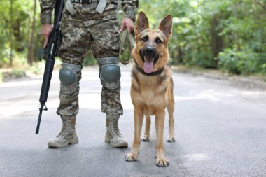 Alman çoban köpeği, açık havada ile askeri üniformalı erkeklere
