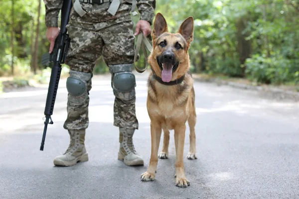 Hombre Uniforme Militar Con Perro Pastor Alemán Aire Libre — Foto de Stock