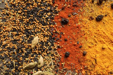 Arka plan, üstten görünüm olarak farklı Aromatik baharatlar