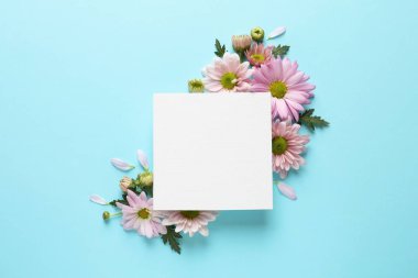 Güzel papatya çiçeği ve kağıt kartı renk arka plan üzerinde düz metin için yer ile göklere