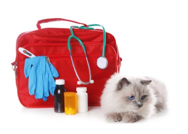 İlk yardım çantası ve beyaz arka plan üzerinde şirin kedi. Hayvan bakımı