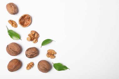 Ceviz yaprakları üzerinde beyaz arka plan ile düz metin için yer ile göklere