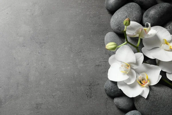 Επίπεδη Lay Σύνθεση Πέτρες Spa Και Orchid Λουλούδια Γκρι Φόντο — Φωτογραφία Αρχείου