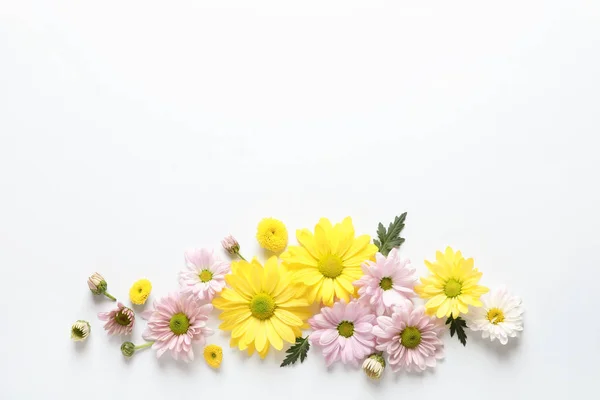 Hermosas Flores Manzanilla Sobre Fondo Blanco Disposición Plana Con Espacio — Foto de Stock
