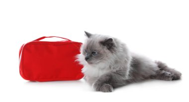 İlk yardım çantası ve beyaz arka plan üzerinde şirin kedi. Hayvan bakımı
