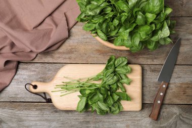 Ahşap masa üzerinde fesleğen yaprakları ile düz yatıyordu kompozisyon