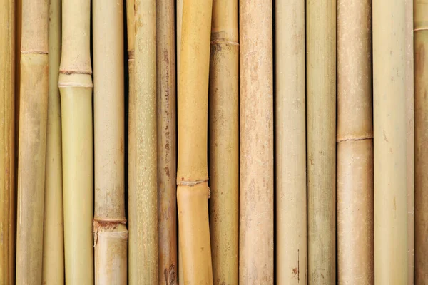 Palos Bambú Seco Como Fondo Vista Superior —  Fotos de Stock