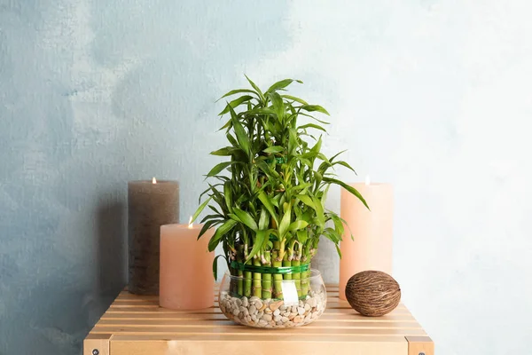 Komposisi Dengan Bambu Dalam Mangkuk Kaca Atas Meja Kayu — Stok Foto