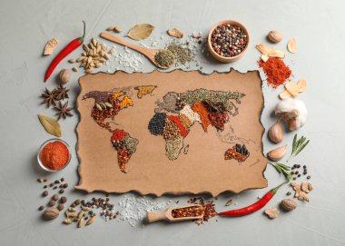 Kağıt, düz gri arka plan üzerinde farklı aromatik baharat yapılan Dünya Haritası ile yatıyordu