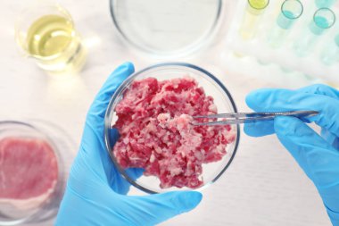 Petri kabına forcemeat ile masa üzerinde üstten görünüm tutan bilim adamı