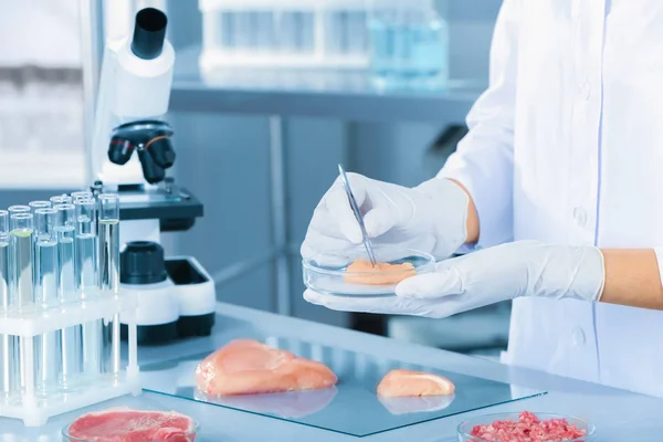 Wetenschapper Petrischaal Met Vlees Monster Houden Boven Tafel Laboratorium — Stockfoto