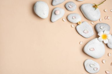 Spa taşlar ve renk arka plan üzerinde metin için yer düz yatıyordu kompozisyonu